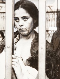 Il dolore della guerra impresso in questi tratti, Barcellona